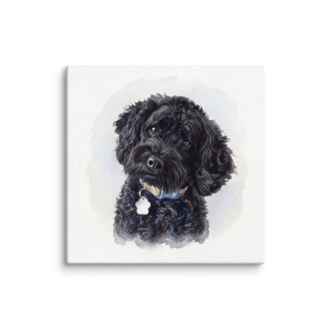 Example of a 20 x 20 inch gallery-wrapped canvas: a watercolor portrait of a black dog