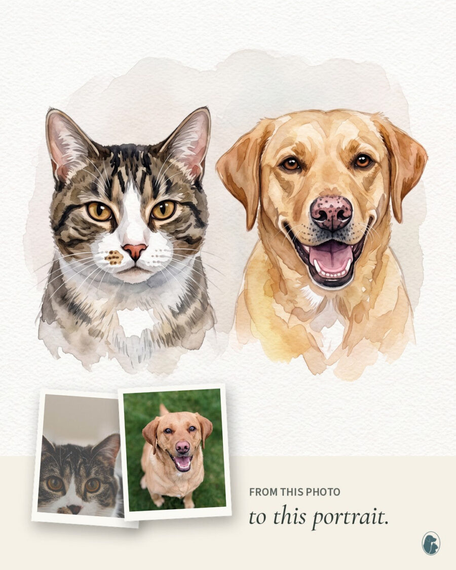 Example: photos of a cat and a Labrador, and the watercolor portrait made from them