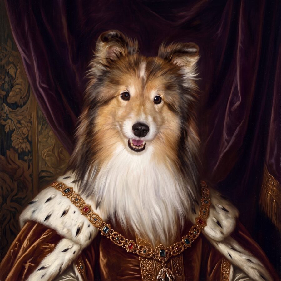 Royal portrait of Shetland Sheepdog
